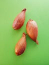 Three small onions over green table. Closeup of three onions. Royalty Free Stock Photo