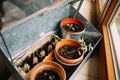 three small plant pots inside the house