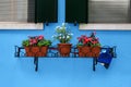 Three small pots of flowers on balcony Royalty Free Stock Photo