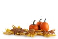 Three small pumpkins on fall leaves Royalty Free Stock Photo