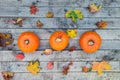 Three small ripe pumpkins on wooden rustic autumn background with colorful maple leaves. Top view. Autumn harvest, thanksgiving, h Royalty Free Stock Photo