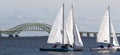 Three two person sailboats with The Great South Bay Bridge in December Royalty Free Stock Photo