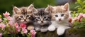 Three small to mediumsized cats with whiskers sitting next to flowers