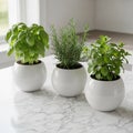 Three small white ceramic pots are arranged on a marble countertop Royalty Free Stock Photo