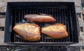 Three smoked fish in a makeshift smokehouse Royalty Free Stock Photo