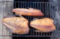 Three smoked fish in a makeshift smokehouse Royalty Free Stock Photo