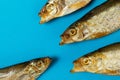 Three smoked fish with their mouths open in front of one fish on a blue background. The concept of bullying, assault, depression, Royalty Free Stock Photo