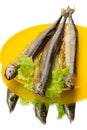 Three smoked saury Royalty Free Stock Photo