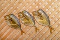 Three smoked sea fish Selene close-up on a string