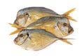 Three smoked Vomers fish