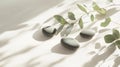 Still Life of Smooth Stones and Eucalyptus Branch on White Surface Royalty Free Stock Photo