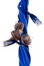 Three snails on blue cables Royalty Free Stock Photo