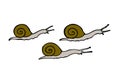 Three snails Royalty Free Stock Photo