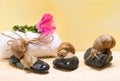 Three snails sitting on stones on a spa background concept Royalty Free Stock Photo