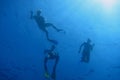 three snorkelers on the water surface Royalty Free Stock Photo