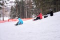 Three snowboarders sit on a snow-covered slope against a background of pine trees