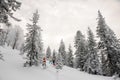 Three snowboarders standing between the trees in the mountain resort