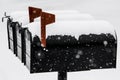 Three Snowy Black Mailboxes