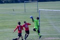 Three soccer players competing for the ball.