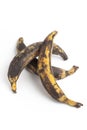 Three South American plantains