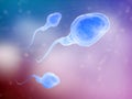 Three sperm cells Royalty Free Stock Photo
