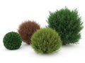 Three spherical topiaries in various colors against a white background Royalty Free Stock Photo