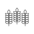 Three spikelets icon. A simple linear image of wheat ears. Isolated vector on a pure white background. Royalty Free Stock Photo