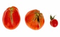 Three split, cracked tomatoes due to rain after drought, Gardening problem. Isolated on white.