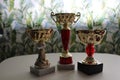 Three sports cups on white table