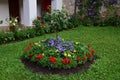 The multicolored flowers at Polovragi monastery 3