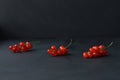 Three sprigs of red currants on a black background. Place for a text