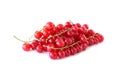 Three sprigs of red currants isolated on a white