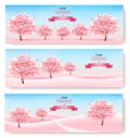 Three spring banners with pink cherry blossom trees and landscape. Royalty Free Stock Photo