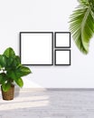 3 square frame mockup on a white wall with green leaf plants 3d rendering ilustration. Royalty Free Stock Photo