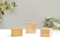 Three square wooden bases on a white an gray background with euclyptus branches