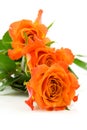 Three stacked orange roses