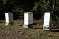 Three stacks of beehives diagonal side on view