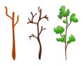 Three stages of tree growth from bare to leafy. Cartoon sapling development, seasonal tree life cycle. Nature