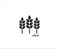 three stalk of wheat simple vector icon logo design illustration