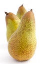 Three standing whole pears