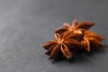 Three star anise seed pods spices in dried condition. Royalty Free Stock Photo