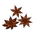Three star anises Royalty Free Stock Photo