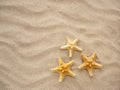 Three starfish are lying on the sand. Concept of vacation, sea, travel Royalty Free Stock Photo