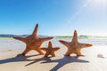 Three Starfish on sandy beach