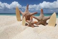 Three starfish surfers on beach