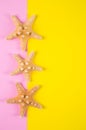 Three starfishes on colored pink and yellow backgrounds with neg