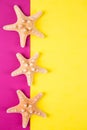 Three starfishes on colored yellow and crimson backgrounds with