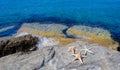 Three starfishes next to sea