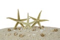 Three starfishes on the sand beach