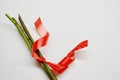 Three stems of roses with thorns tied with a red ribbon on a white background